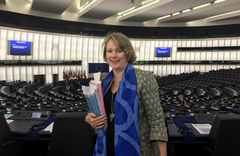 Vicky Ford at European Parliament